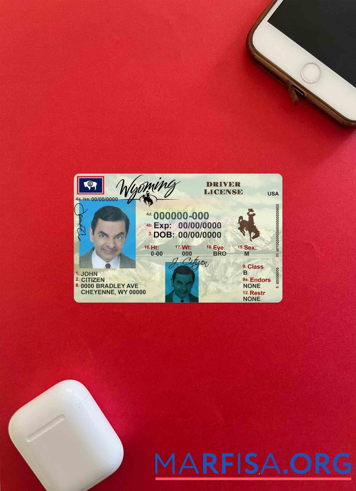 Downloadable USA Wyoming state driving license photolook example